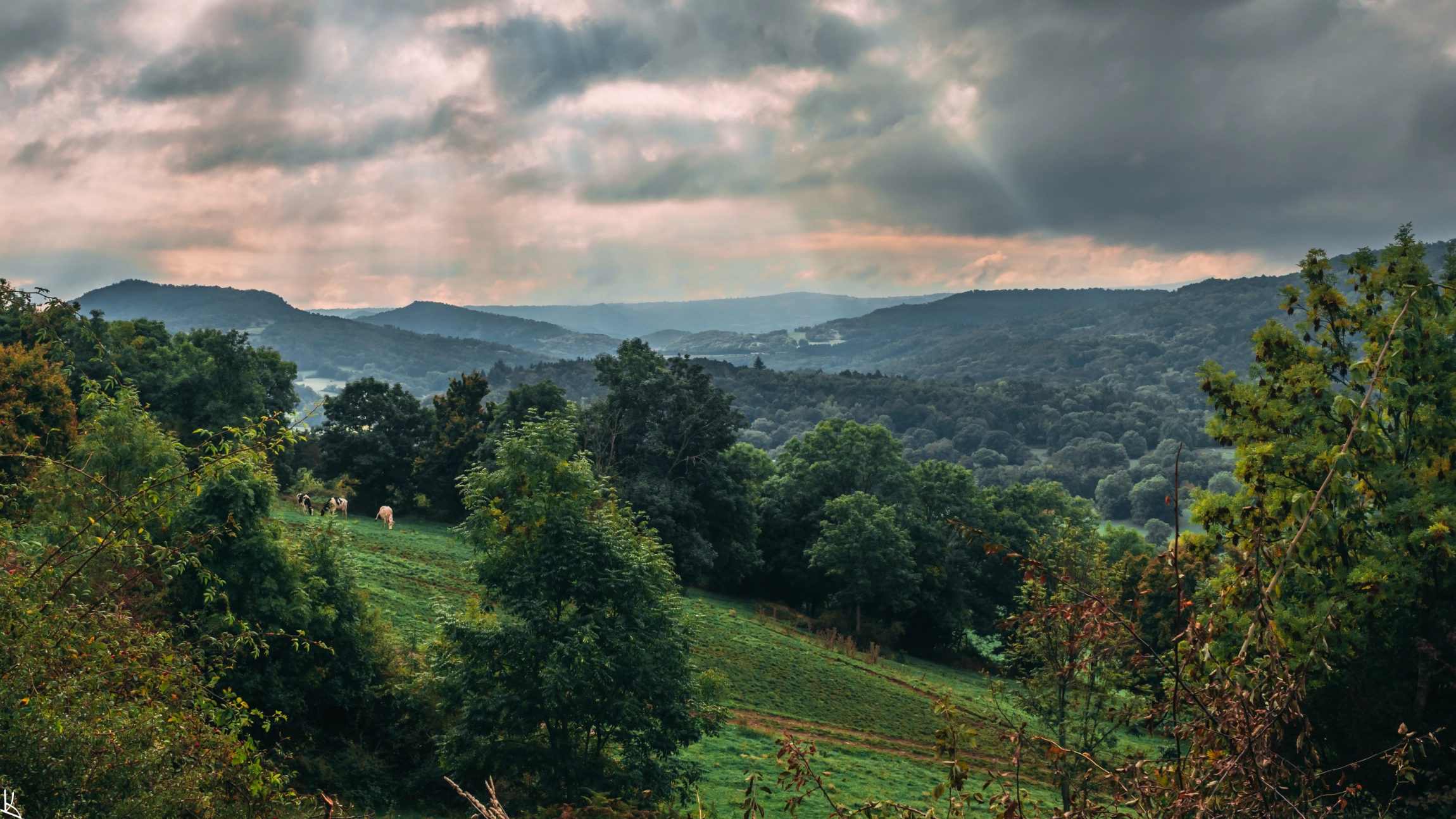 Panorama sur l'Auvergne depuis les Chaumes